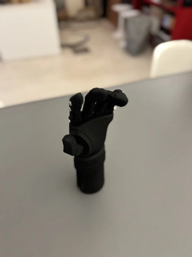 Physical prosthesis with its manually positionable digits posed
