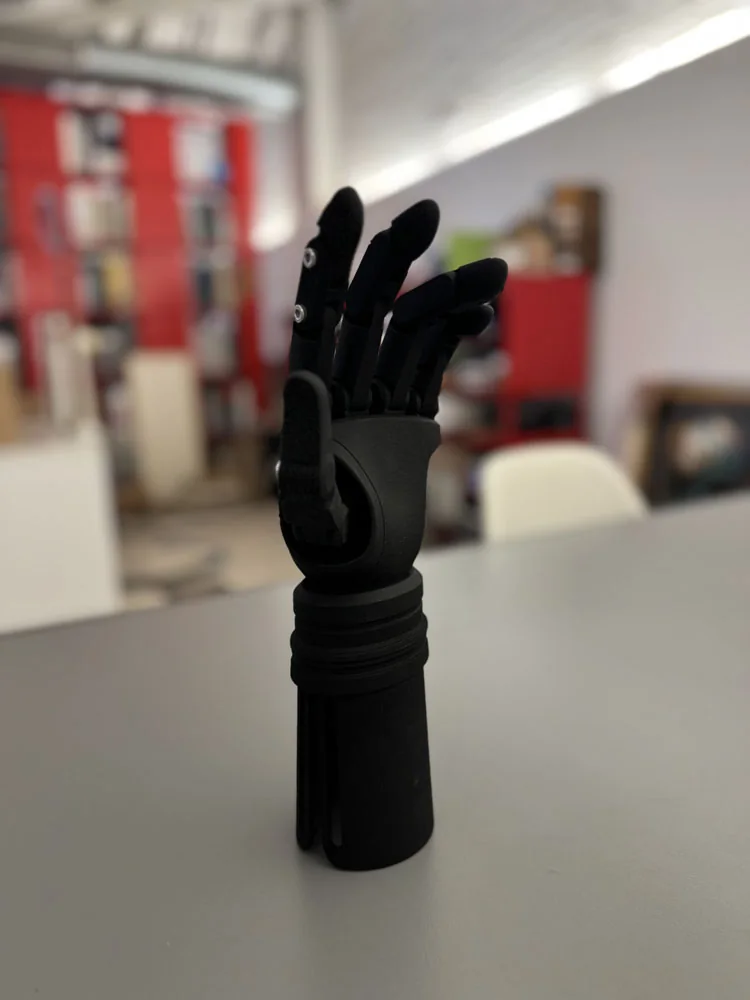 Side view of the physical prosthesis